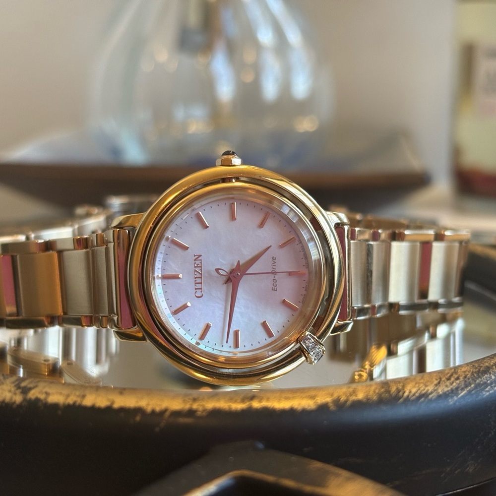 Citizen Eco-Drive Gold and Silver Watch